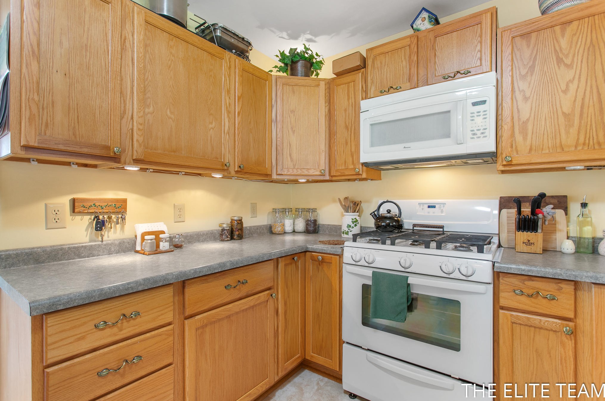 910 Forest St, Ionia MI  48846-1031 exterior