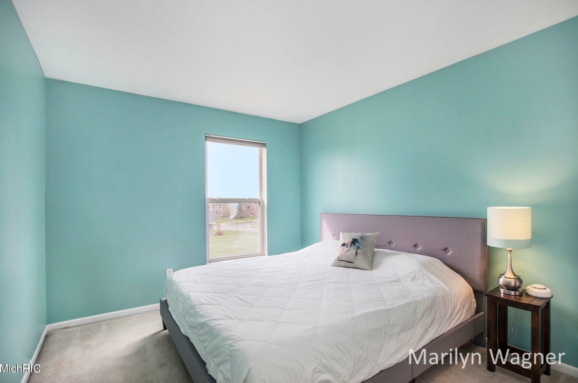 7317 Misty View Ct, Caledonia MI 49316-7611 exterior