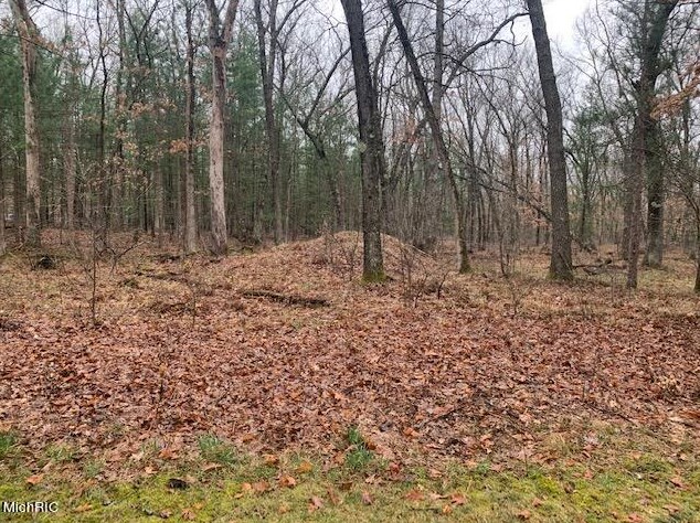 4097 52nd St, Baldwin MI 49304-7944 exterior