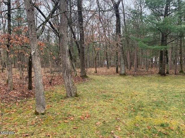 4097 52nd St, Baldwin MI 49304-7944 exterior