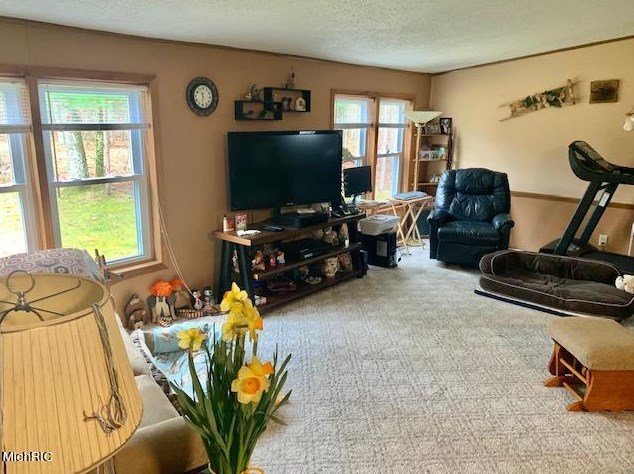 4097 52nd St, Baldwin MI 49304-7944 exterior