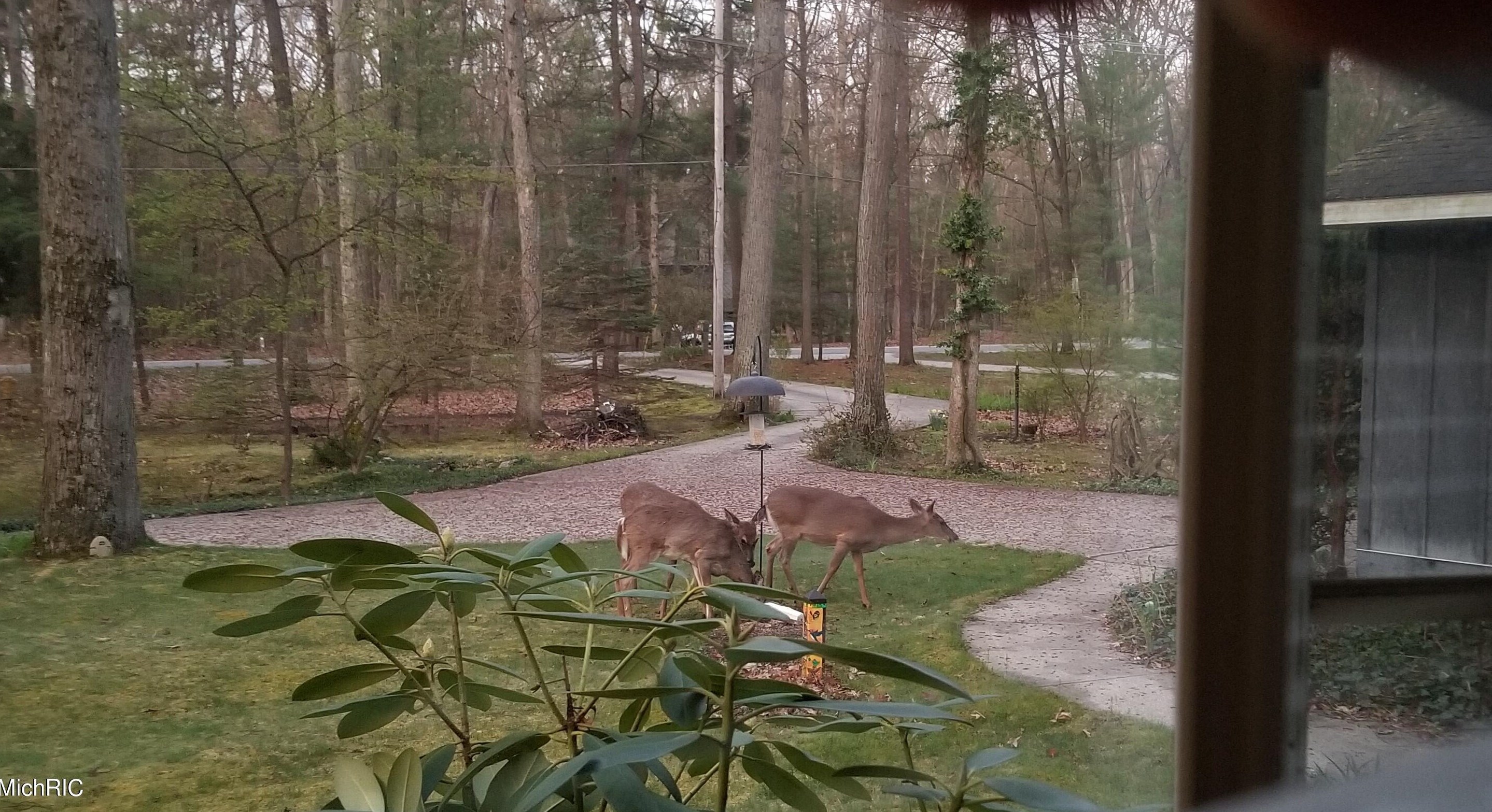 15155 Hickory St, Spring Lake MI 49456-1123 exterior