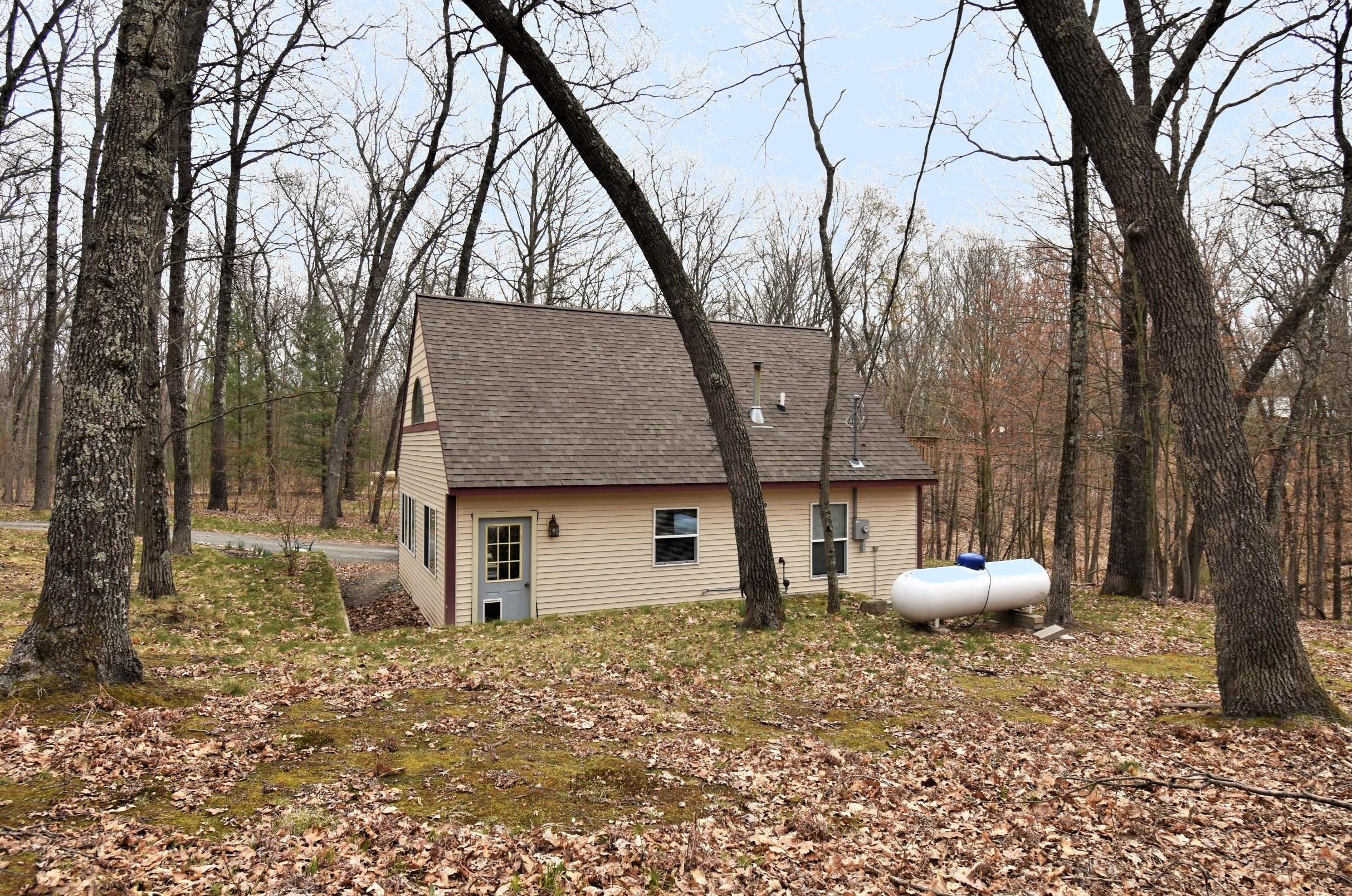 9235 Orchard Lake Dr, Baldwin MI  49304-7790 exterior