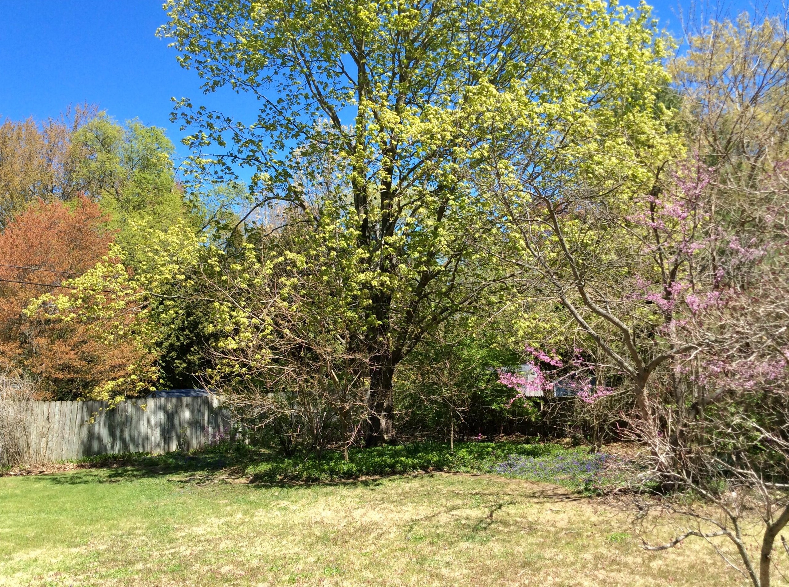 16257 Highland Dr, Spring Lake MI 49456-2307 exterior