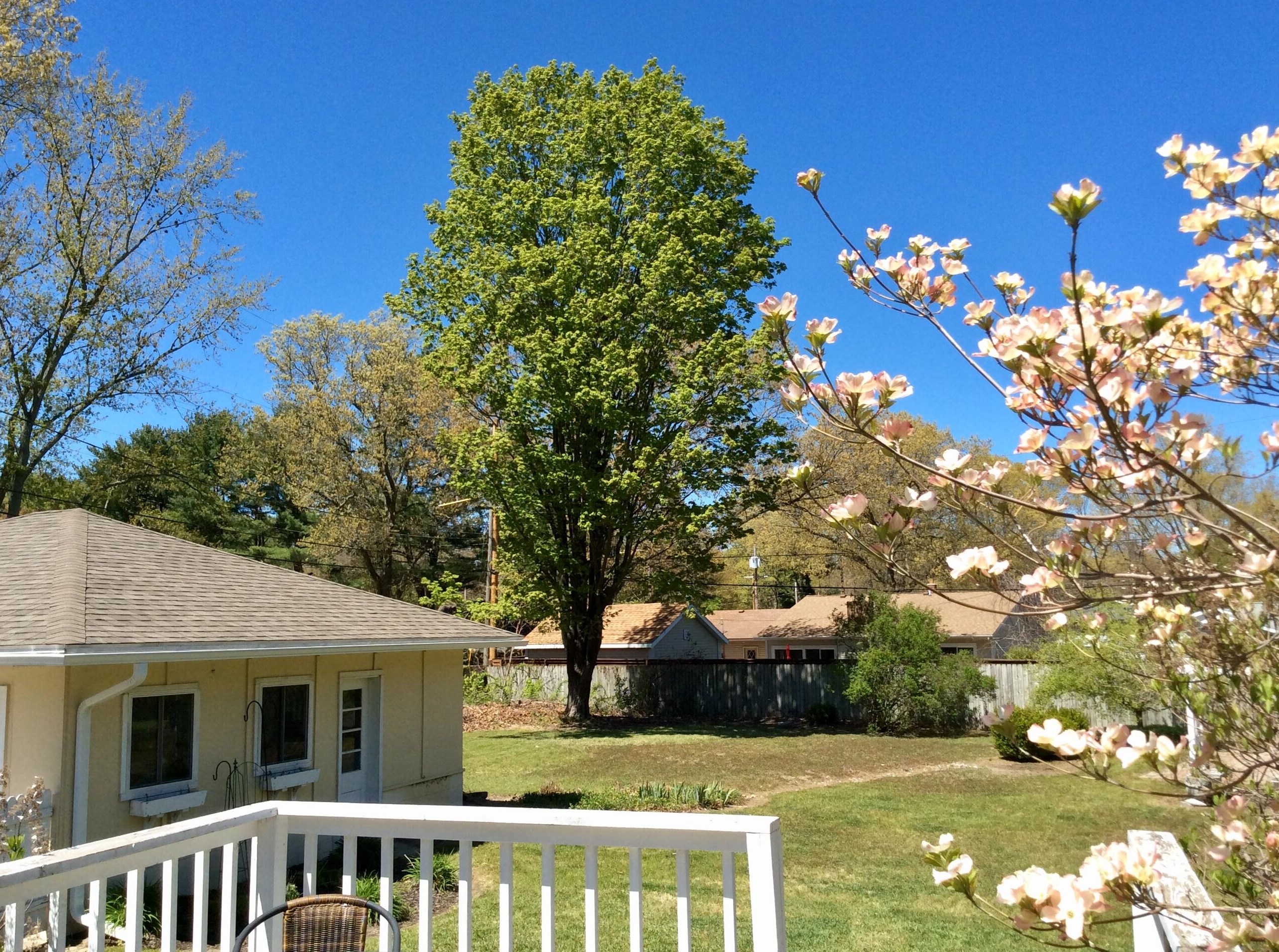 16257 Highland Dr, Spring Lake MI 49456-2307 exterior