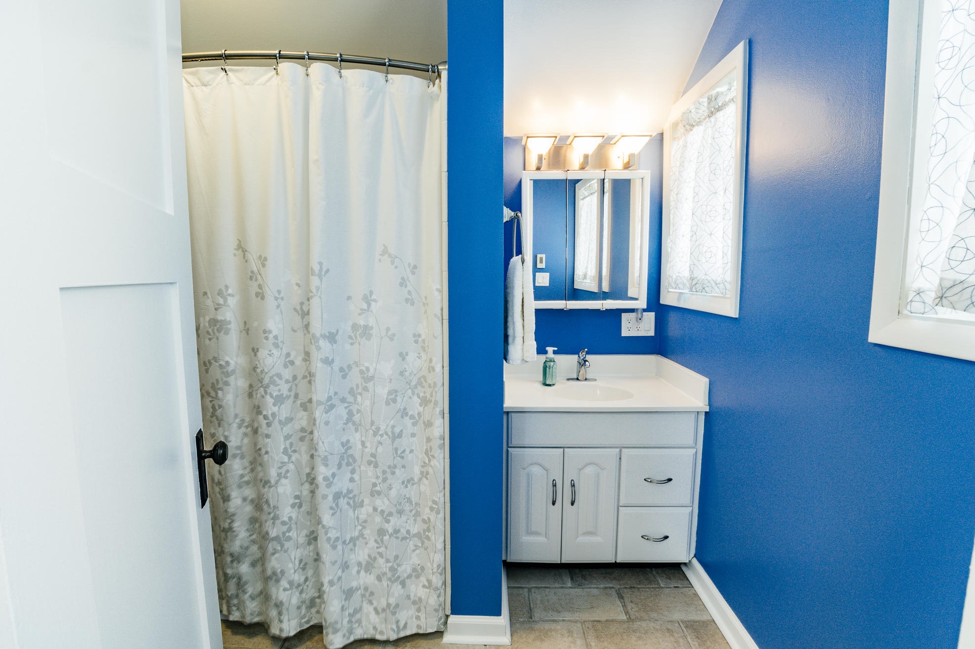 732 Innes St, Grand Rapids MI  49503-3516 exterior