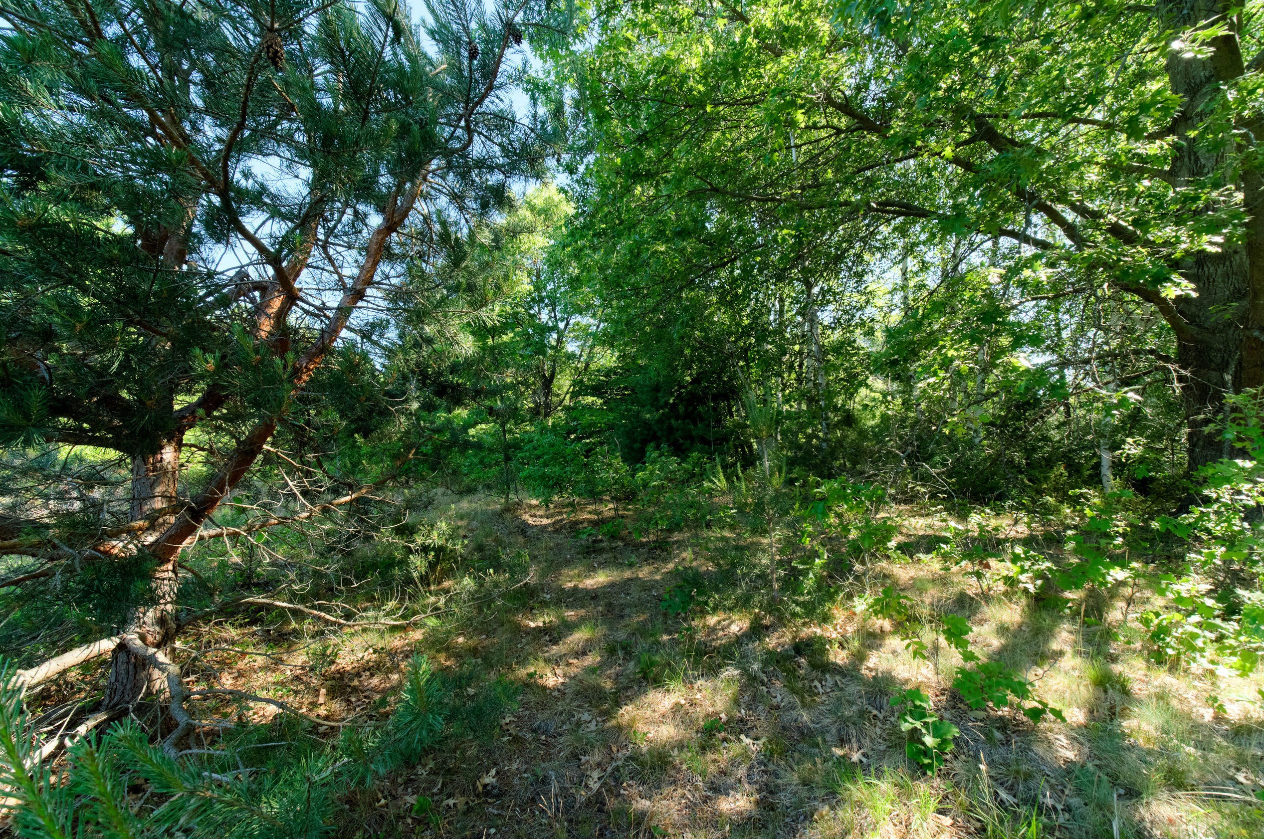 2606 County Line Rd, Stronach MI 49660-9197 exterior