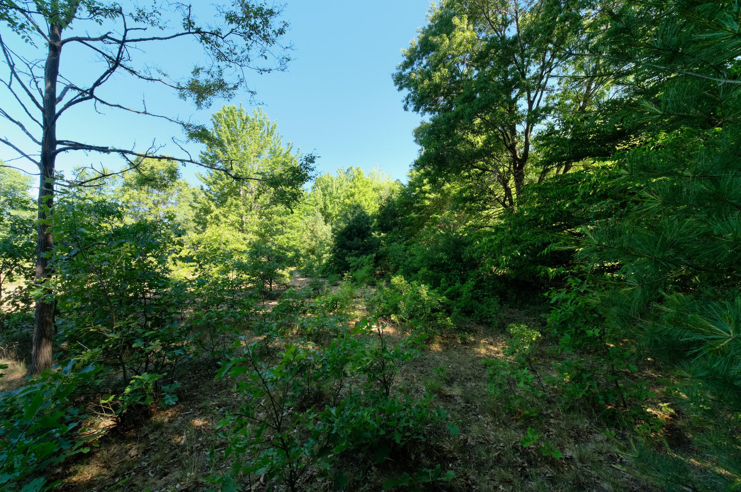 2606 County Line Rd, Stronach MI 49660-9197 exterior