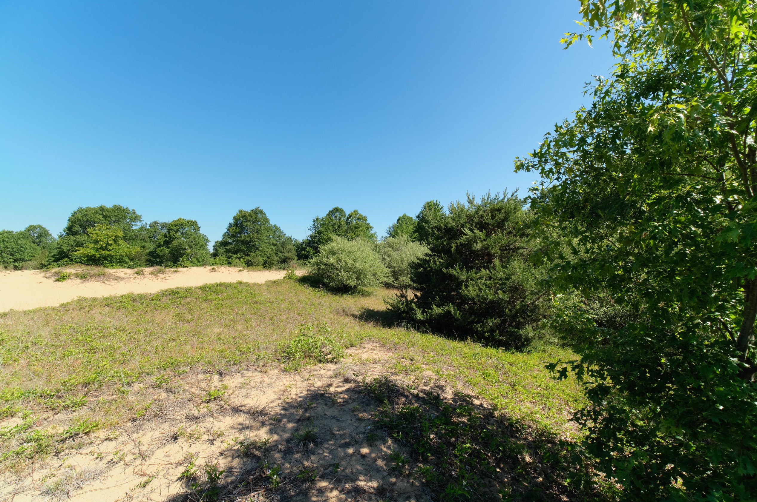 2606 County Line Rd, Stronach MI 49660-9197 exterior