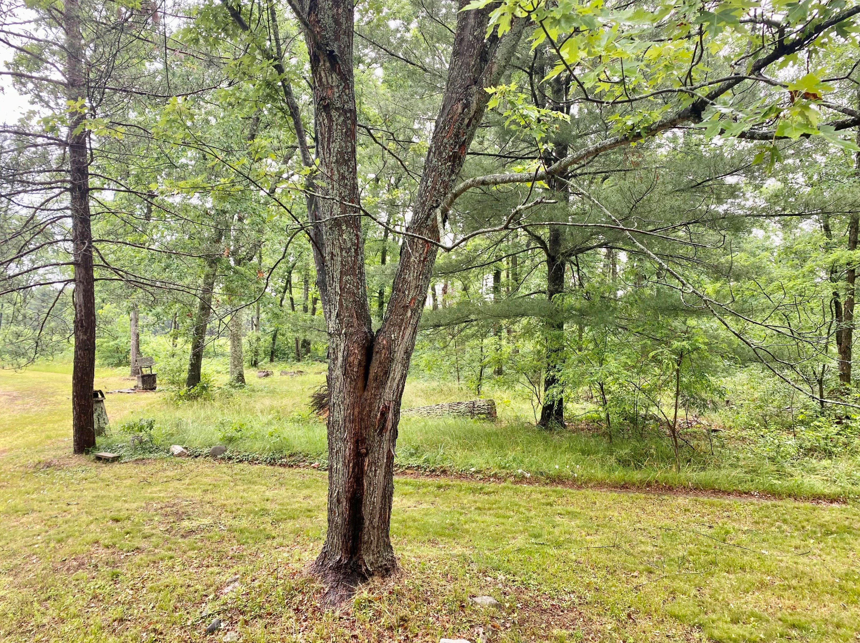 3601 12th St, Baldwin MI  49304-8552 exterior