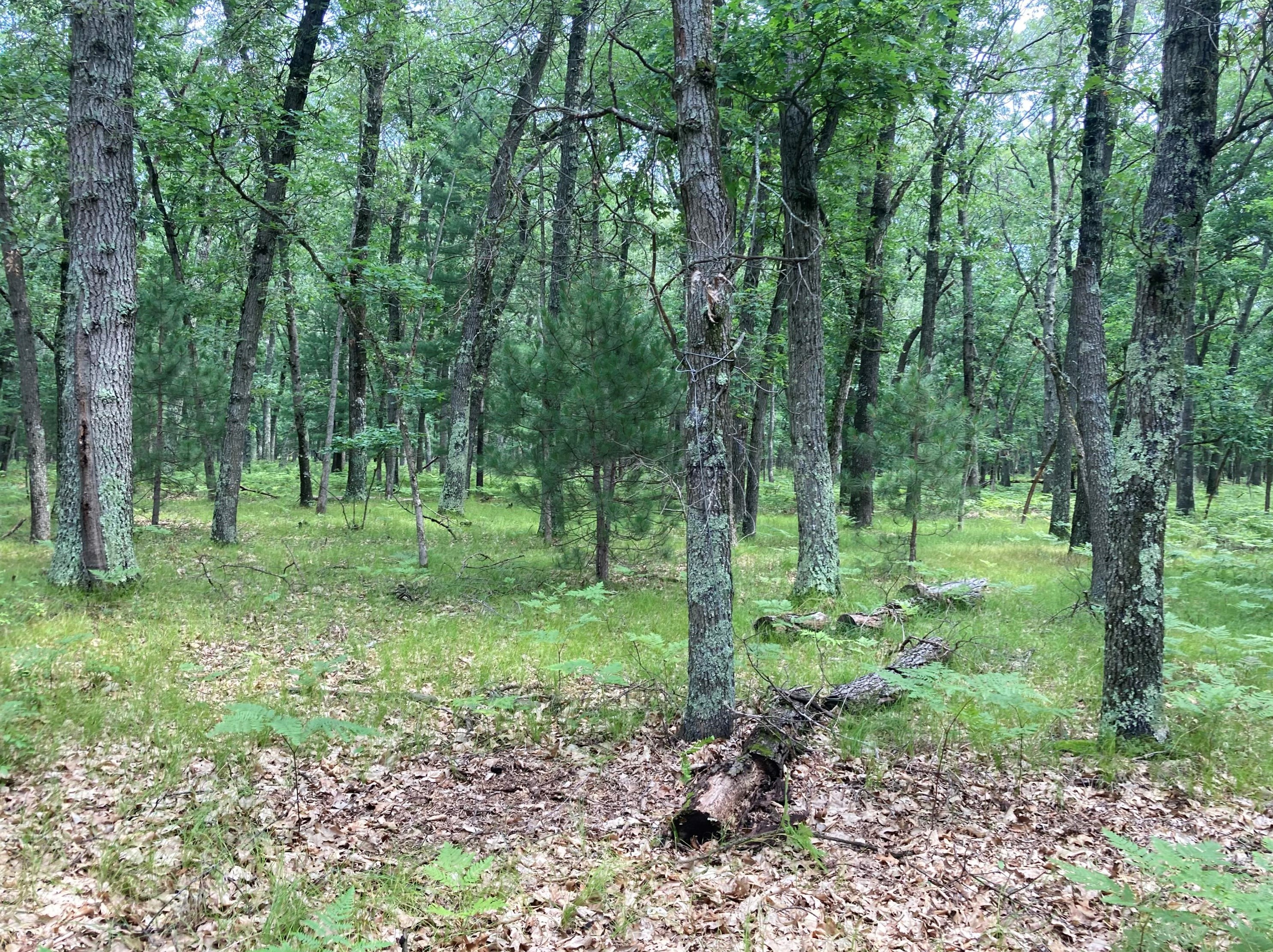 6574 76, Baldwin MI 49304 exterior