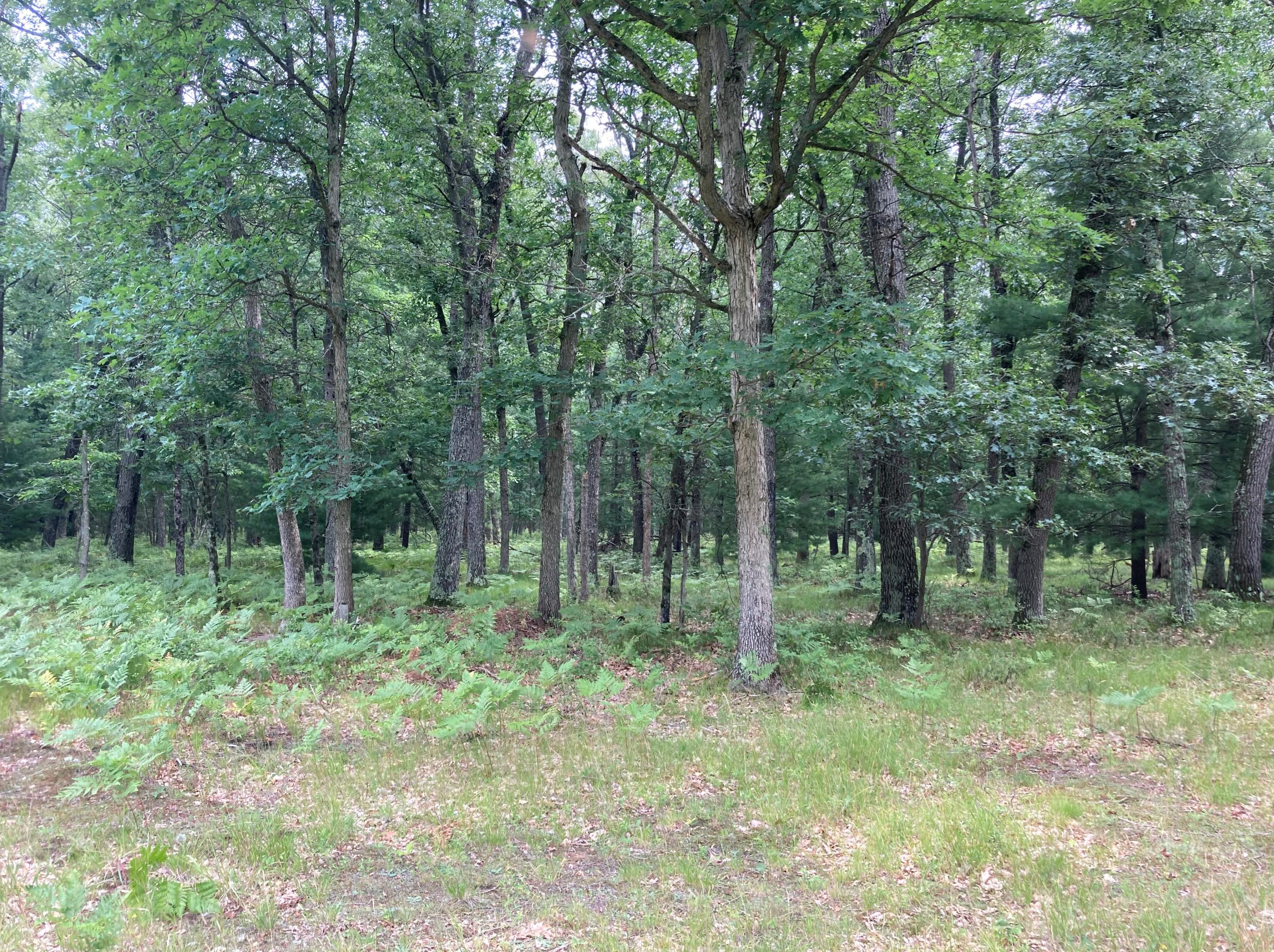 6574 76, Baldwin MI 49304 exterior