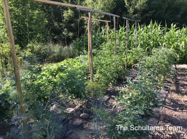 10720 56 Ave, Allendale MI 49401-8352 exterior