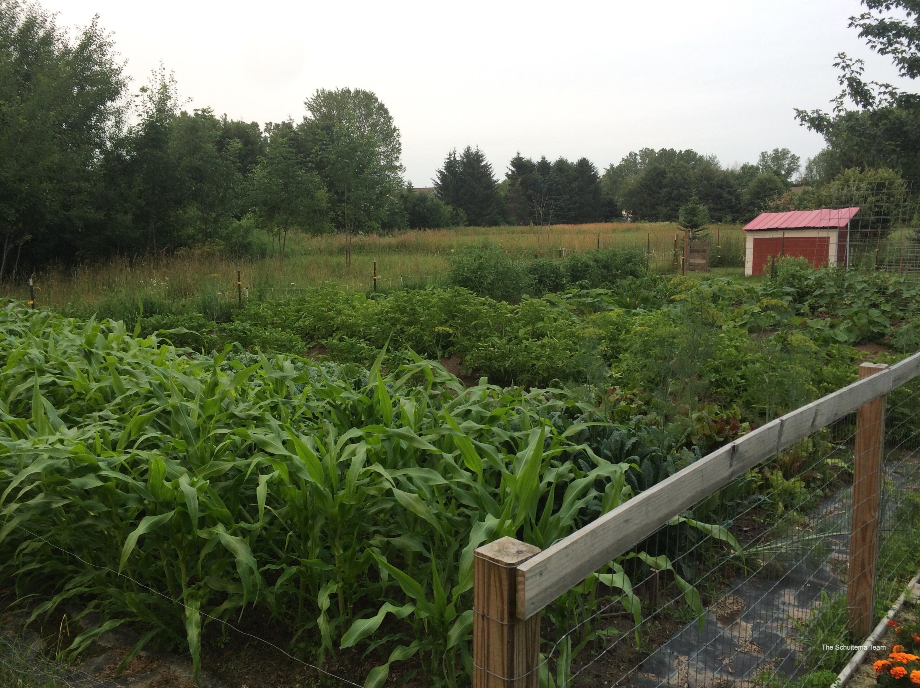 10720 56 Ave, Allendale MI 49401-8352 exterior