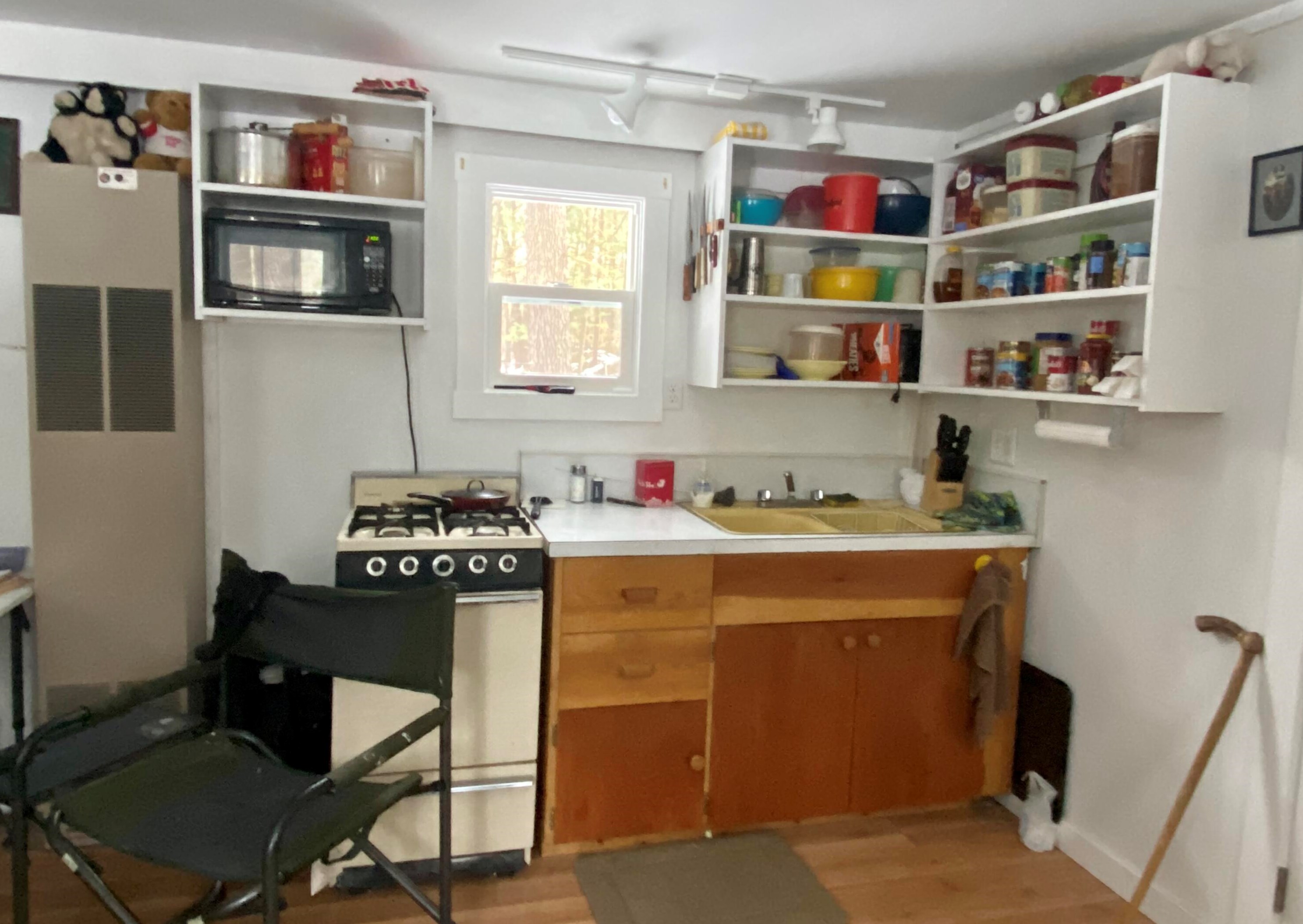 2409 Northland Dr, Baldwin MI  49304-8083 exterior