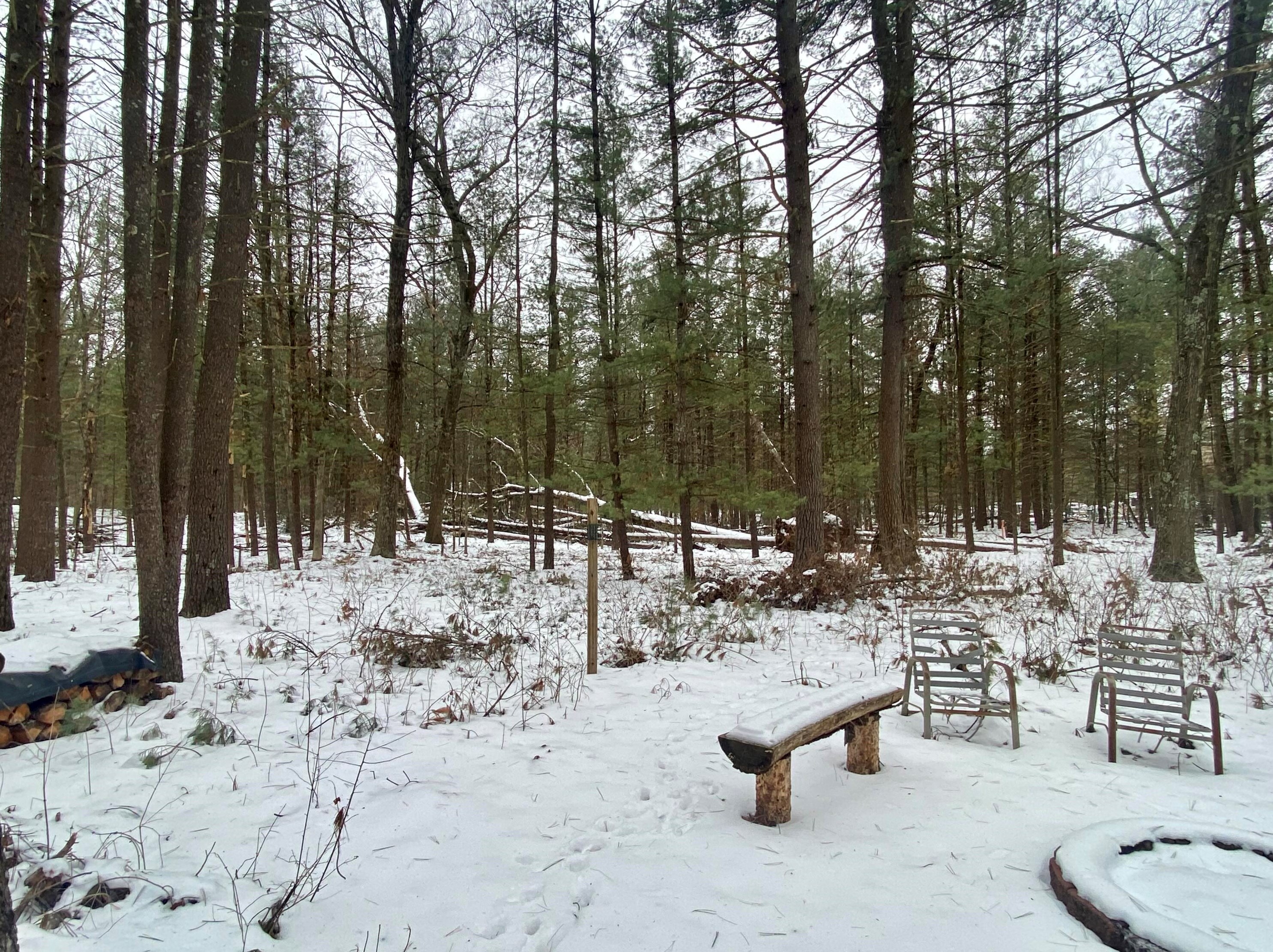 2409 Northland Dr, Baldwin MI  49304-8083 exterior