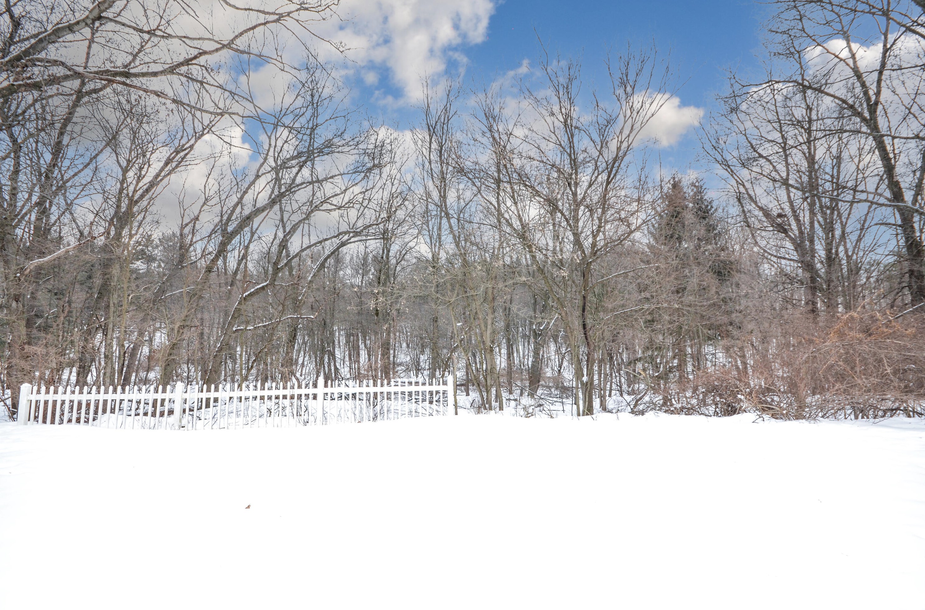 4126 Jackson Rd, Saranac MI 48881-9735 exterior