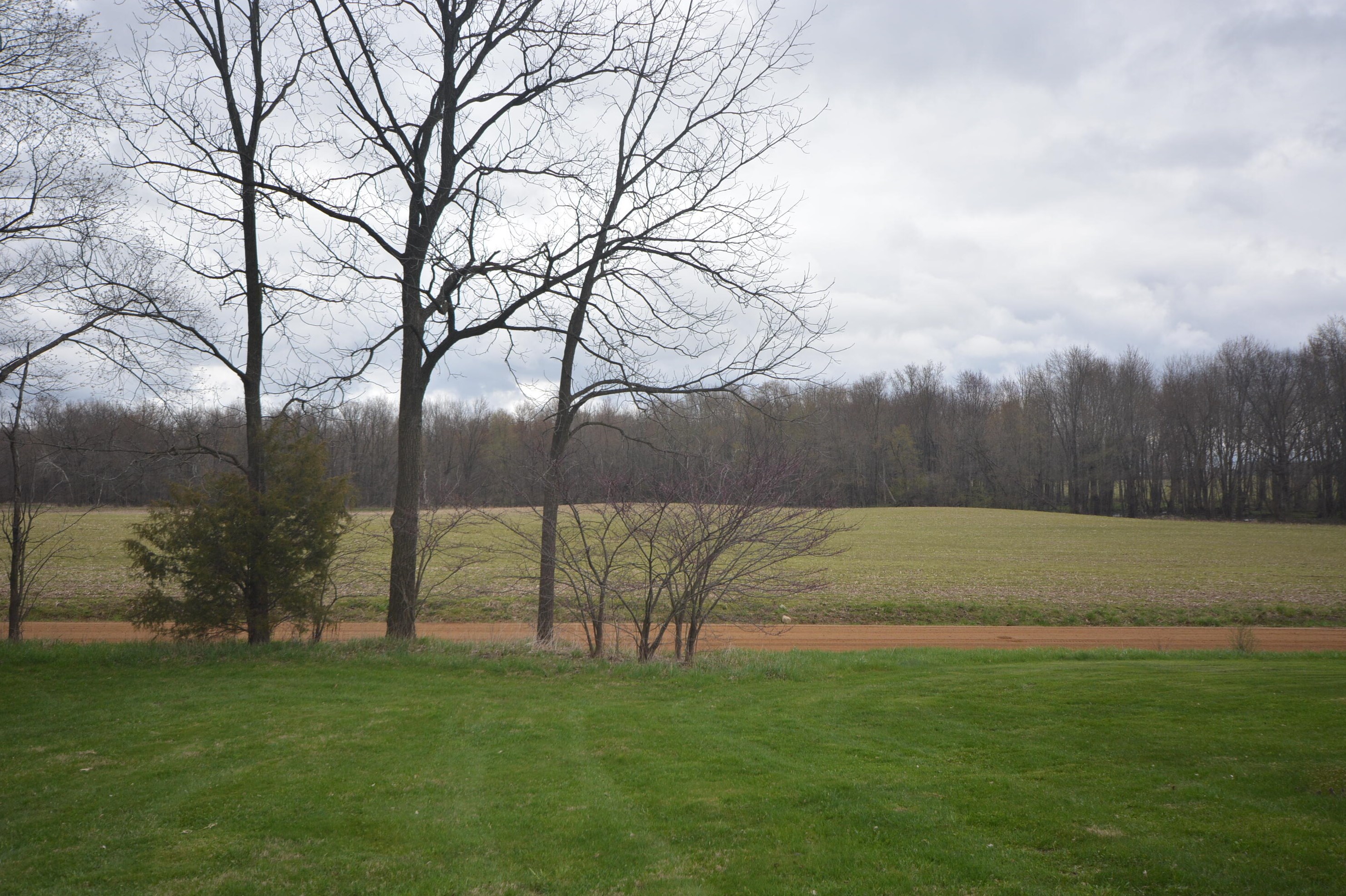 16588 44th St, Fulton MI  49052-9750 exterior