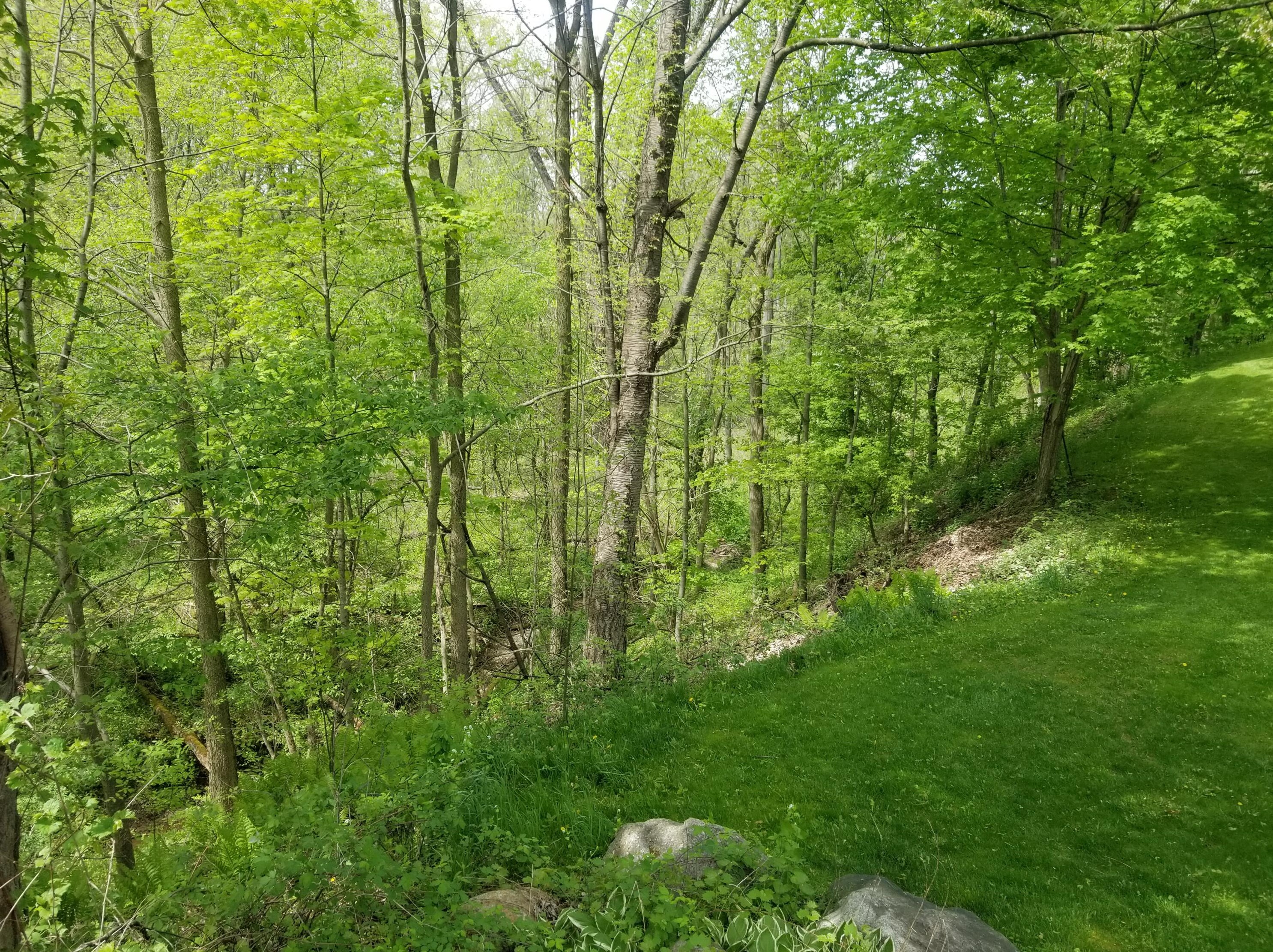 120 St, Saranac MI 48881-9726 exterior