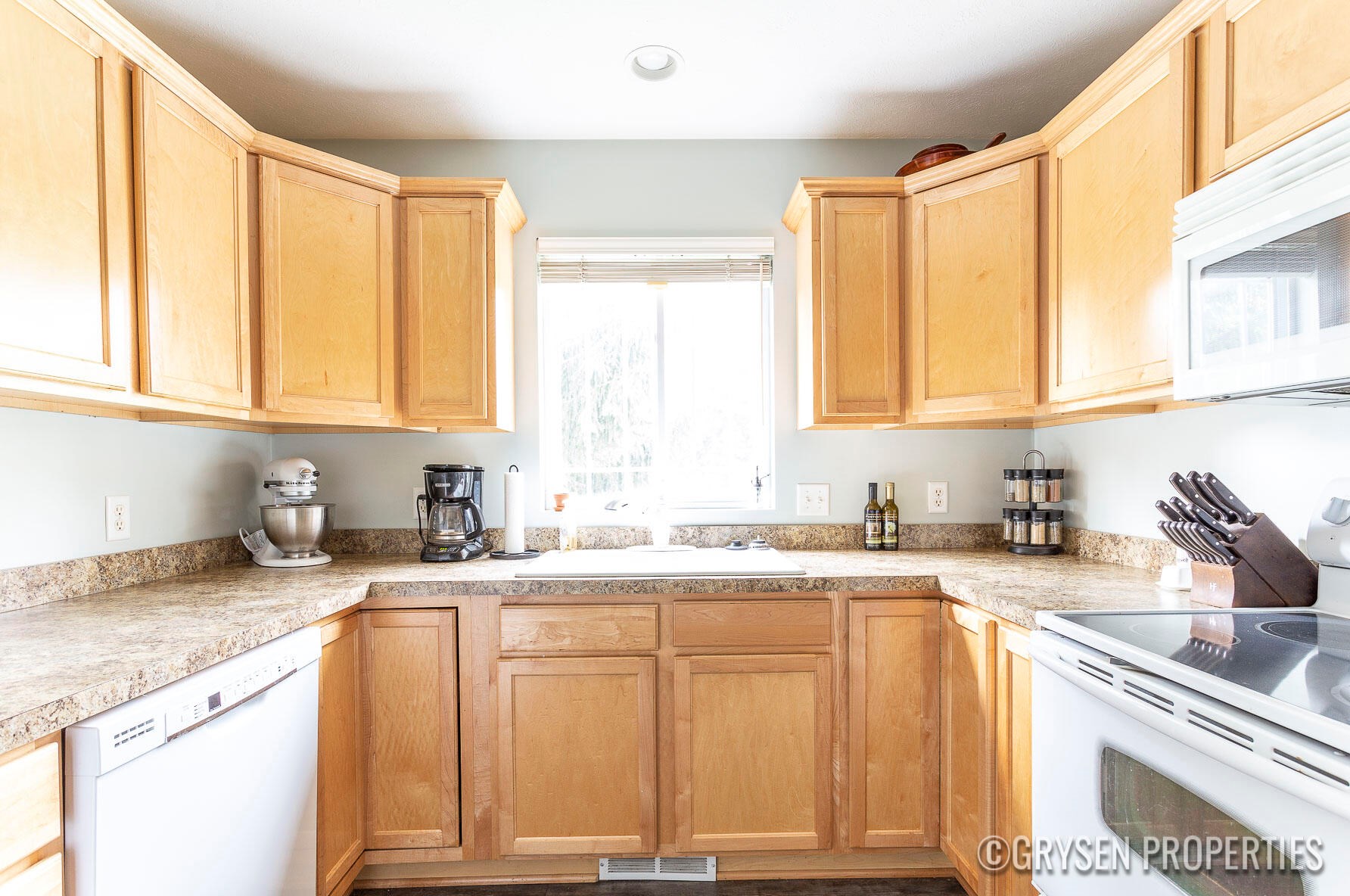 1238 Mesa Junction Dr, Byron Township MI 49315-8073 exterior