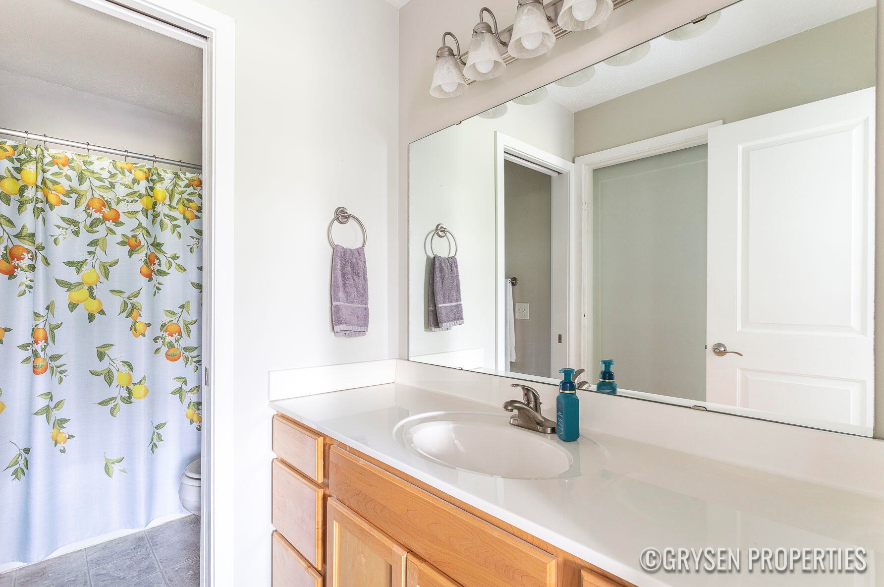 1238 Mesa Junction Dr, Byron Township MI 49315-8073 exterior