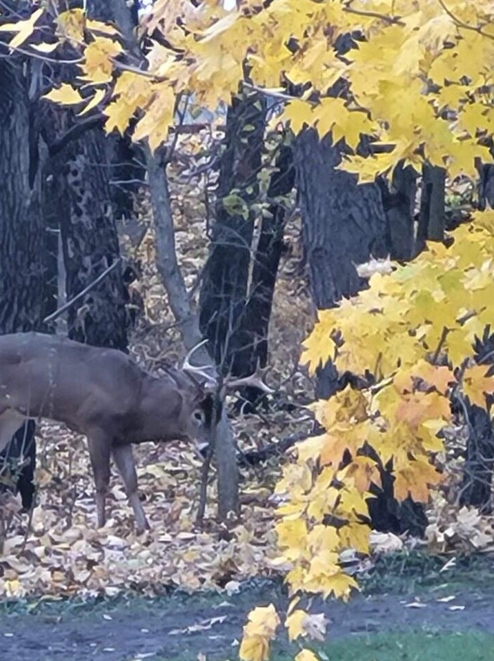 4480 Coit Ave, Grand Rapids MI 49525-1110 exterior