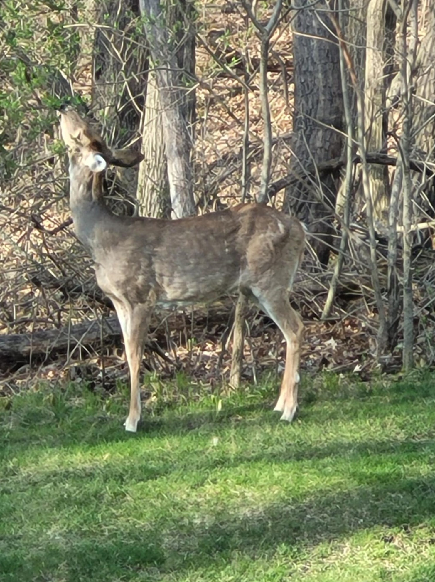 4480 Coit Ave, Grand Rapids MI 49525-1110 exterior