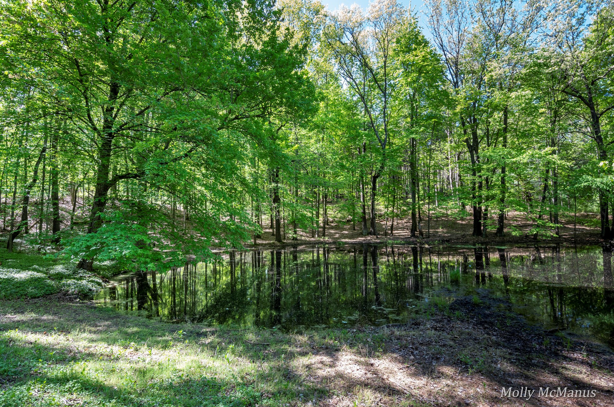 7563 Leonard St, Ada MI 49301-9527 exterior