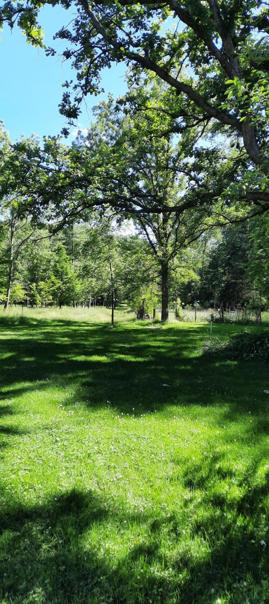 6286 Grand Riv Dr, Ada MI 49301-9503 exterior