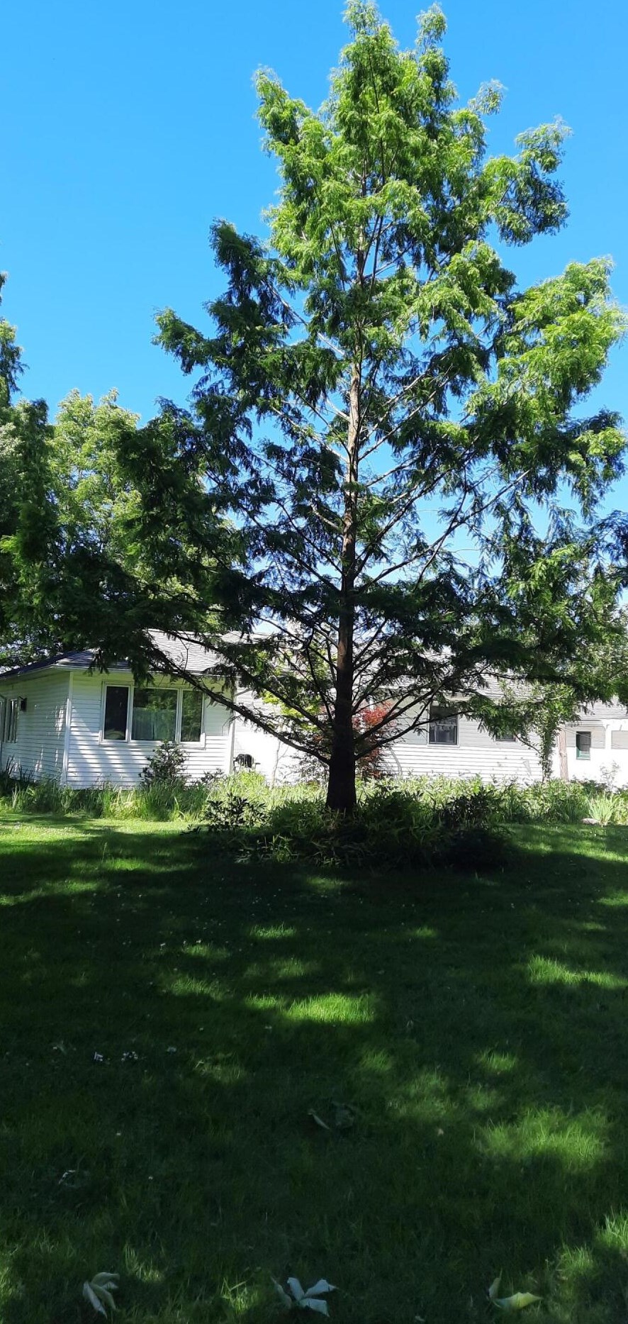 6286 Grand Riv Dr, Ada MI 49301-9503 exterior