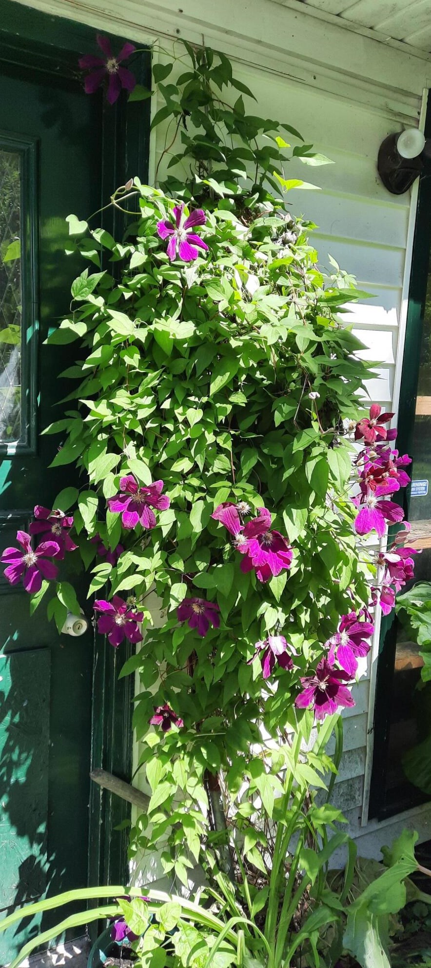 6286 Grand Riv Dr, Ada MI 49301-9503 exterior