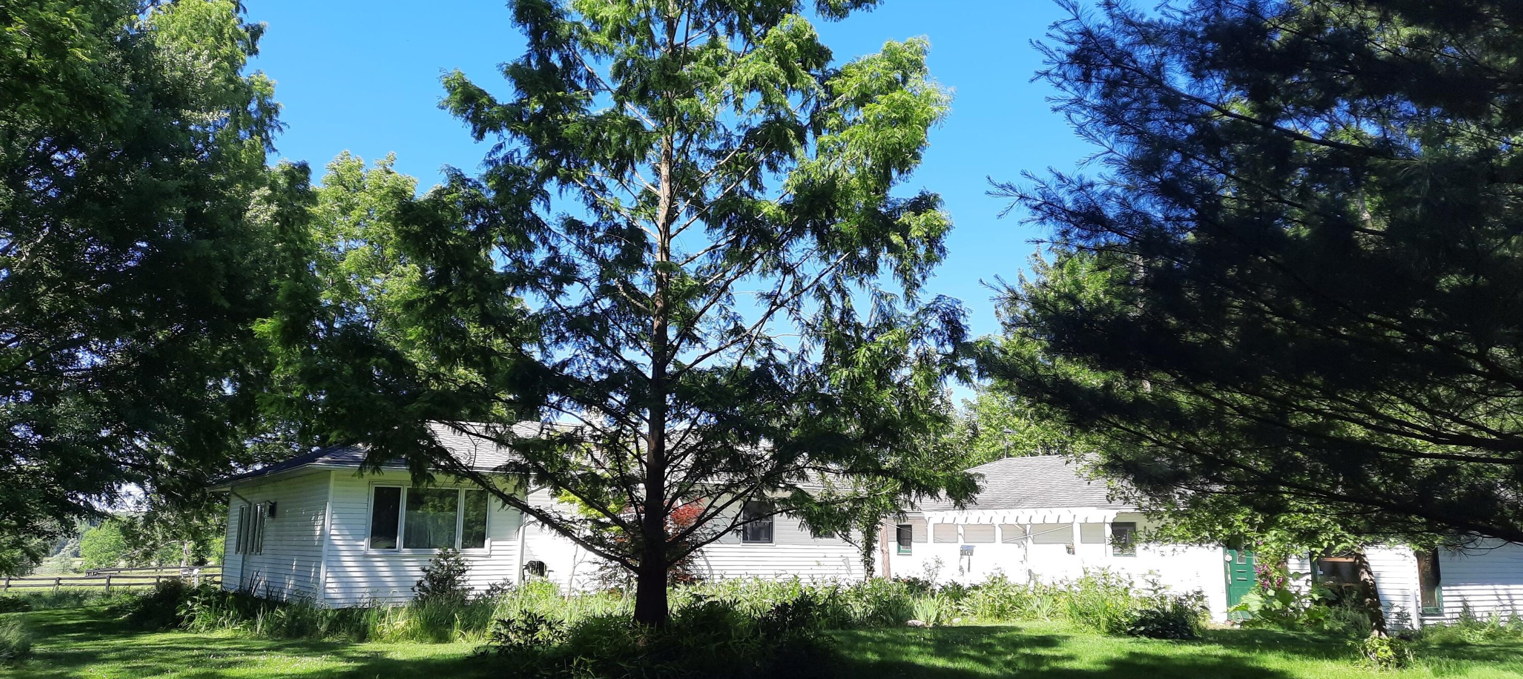 6286 Grand Riv Dr, Ada MI 49301-9503 exterior