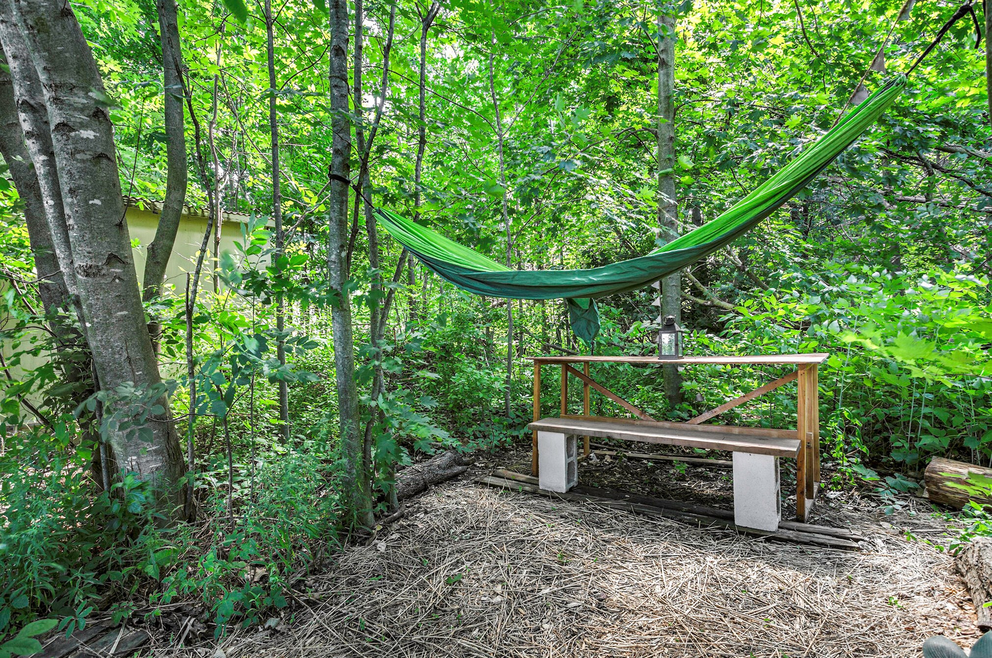 10848 Douglas Dr, Allendale MI 49401-7405 exterior