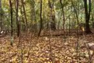 Lt2 Downie Rd, New Berlin, WI 53146 - Photo 1