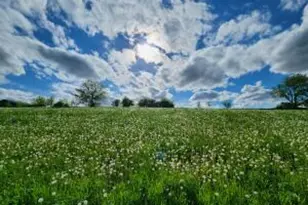 Lt3 Madison Rd, Kekoskee, WI 53050 - Photo 1