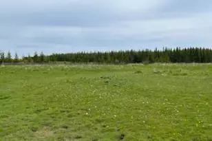 0 Lt 2 Csm V38 P1 -, Two Rivers, WI 54241 - Photo 1