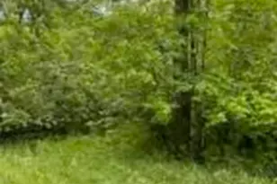 Lt0 Netzel Ln, Stephenson, WI 54114 - Photo 1