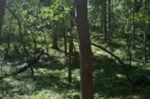 32683 W Pheasant Dr, Chenequa, WI 53058 - Photo 1