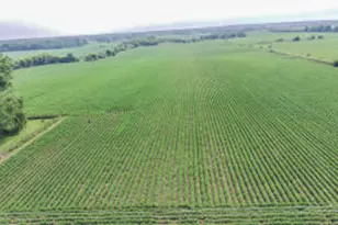 Lt1 Mayfield Rd, Polk, WI 53037 - Photo 1