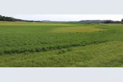 Lot 1  State Highway 27 -, Leon, WI 54656 - Photo 1