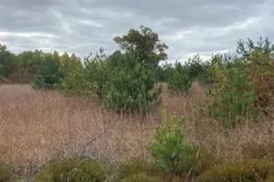 Lt0 Smiley Rd, Athelstane, WI 54104 - Photo 1