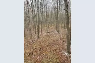 N8412  Spur Five Rd, Jump River, WI 54766 - Photo 1