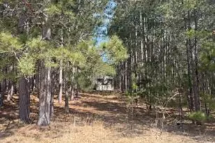 N10038 Pinecone Ct, Necedah, WI 54646 - Photo 1