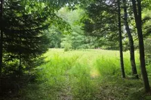 Lt0 Old Rail Rd, Wausaukee, WI 54177 - Photo 1