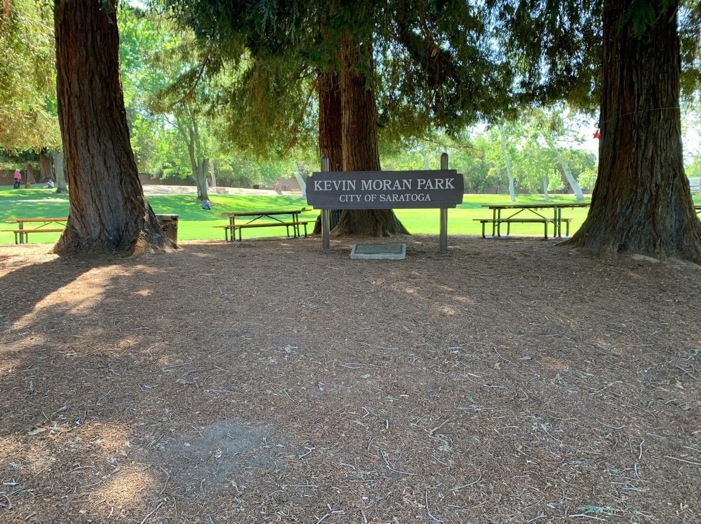 12311 Saraglen Dr, Saratoga CA  95070-3224 exterior