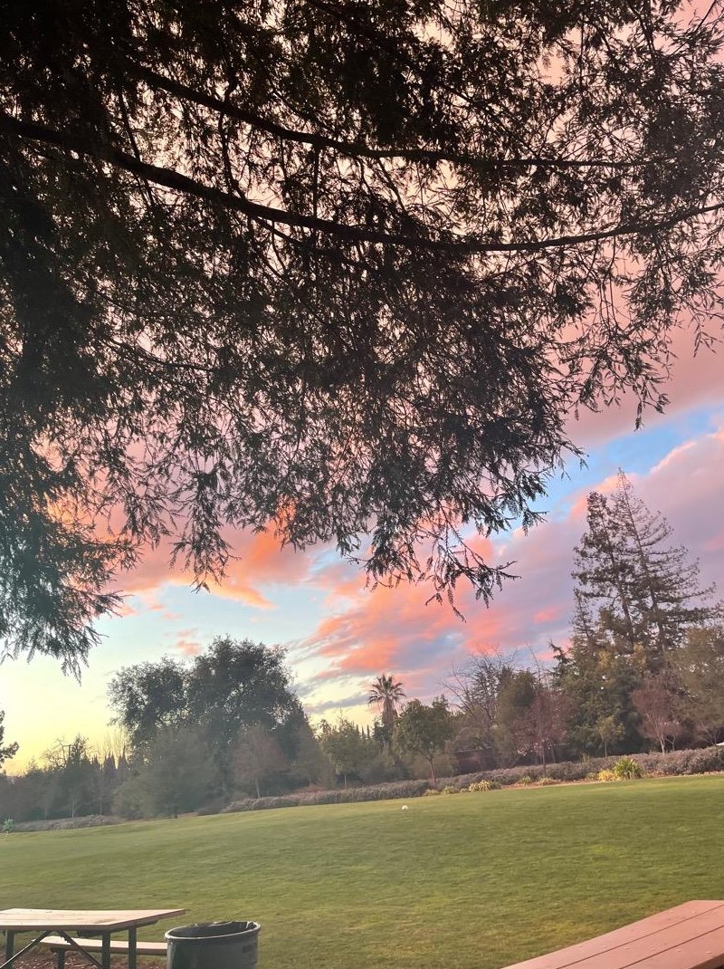 12311 Saraglen Dr, Saratoga CA  95070-3224 exterior