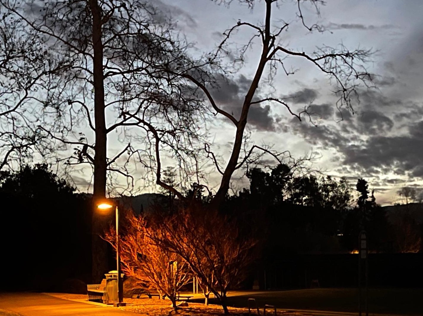 12311 Saraglen Dr, Saratoga CA  95070-3224 exterior