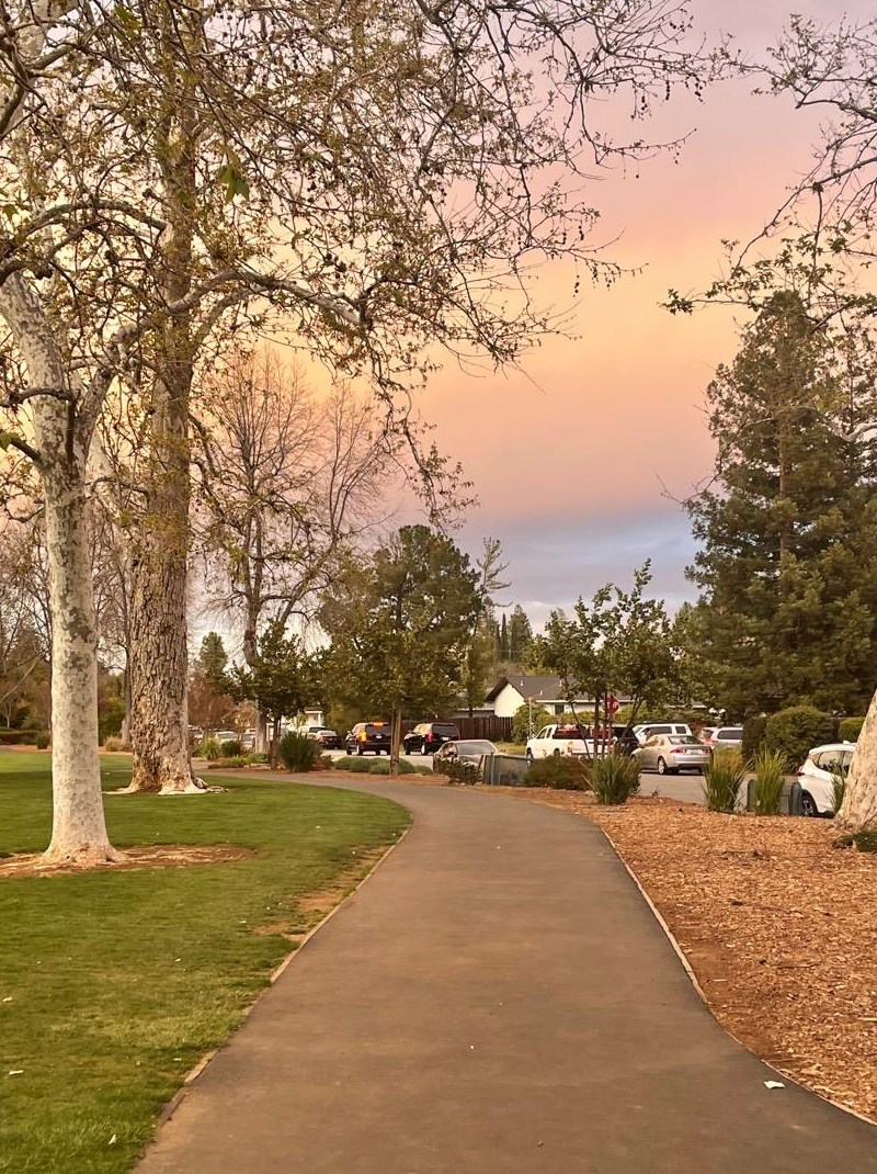 12311 Saraglen Dr, Saratoga CA  95070-3224 exterior