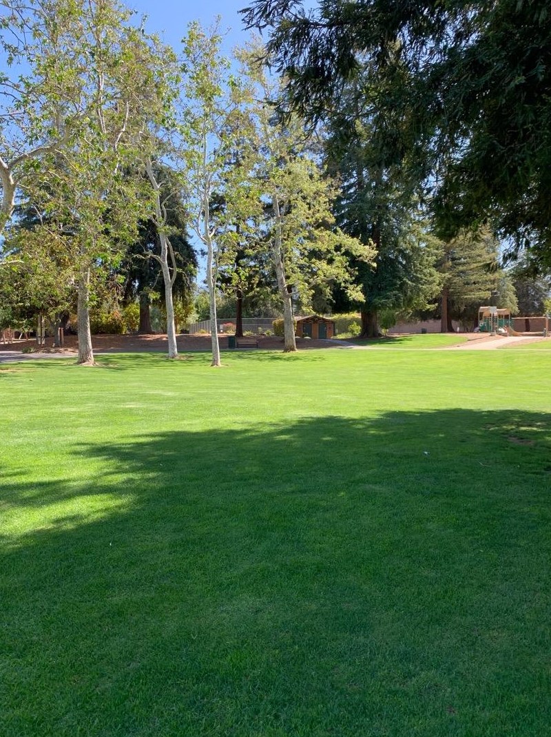 12311 Saraglen Dr, Saratoga CA  95070-3224 exterior