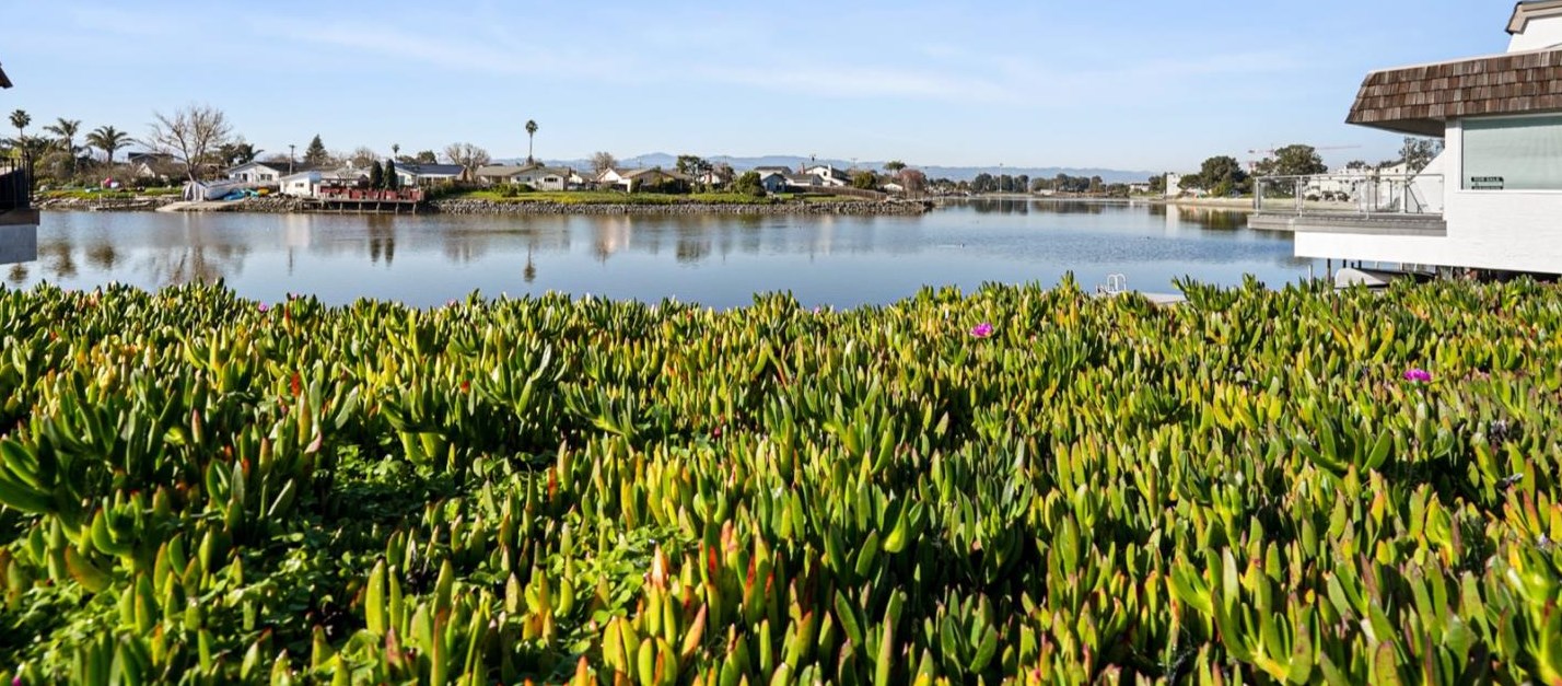 490 Mariners Island Blvd, San Mateo CA  94404-1043 exterior